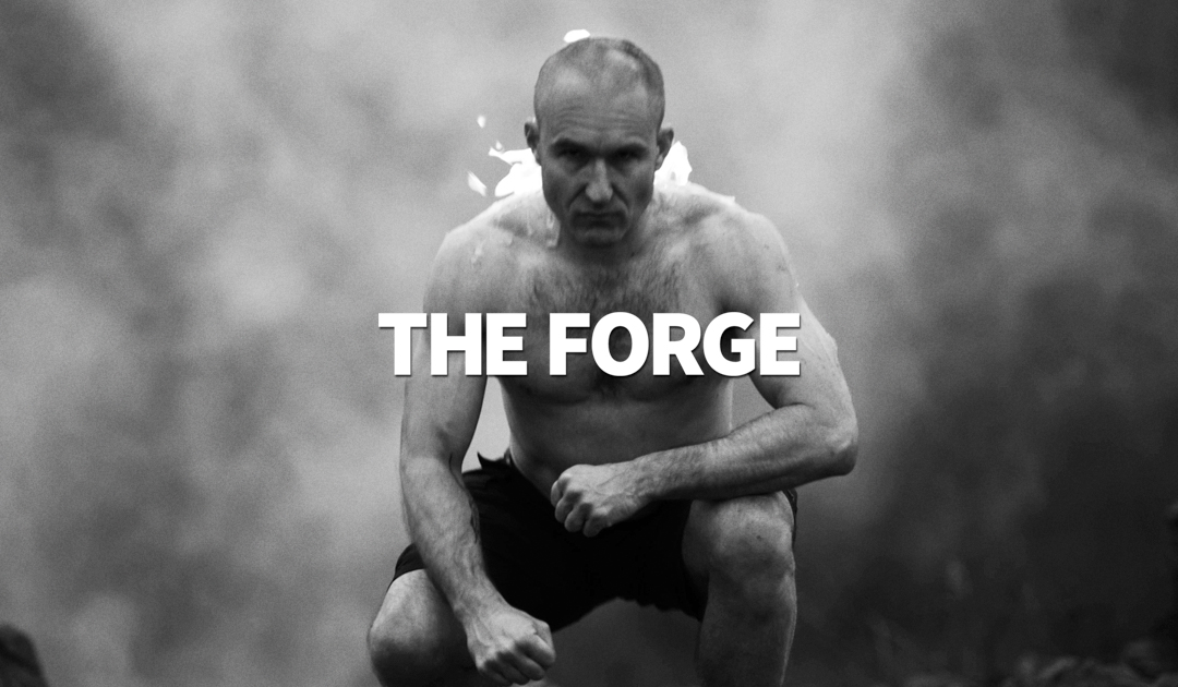 THE FORGE: Full Year’s Transformation Program 